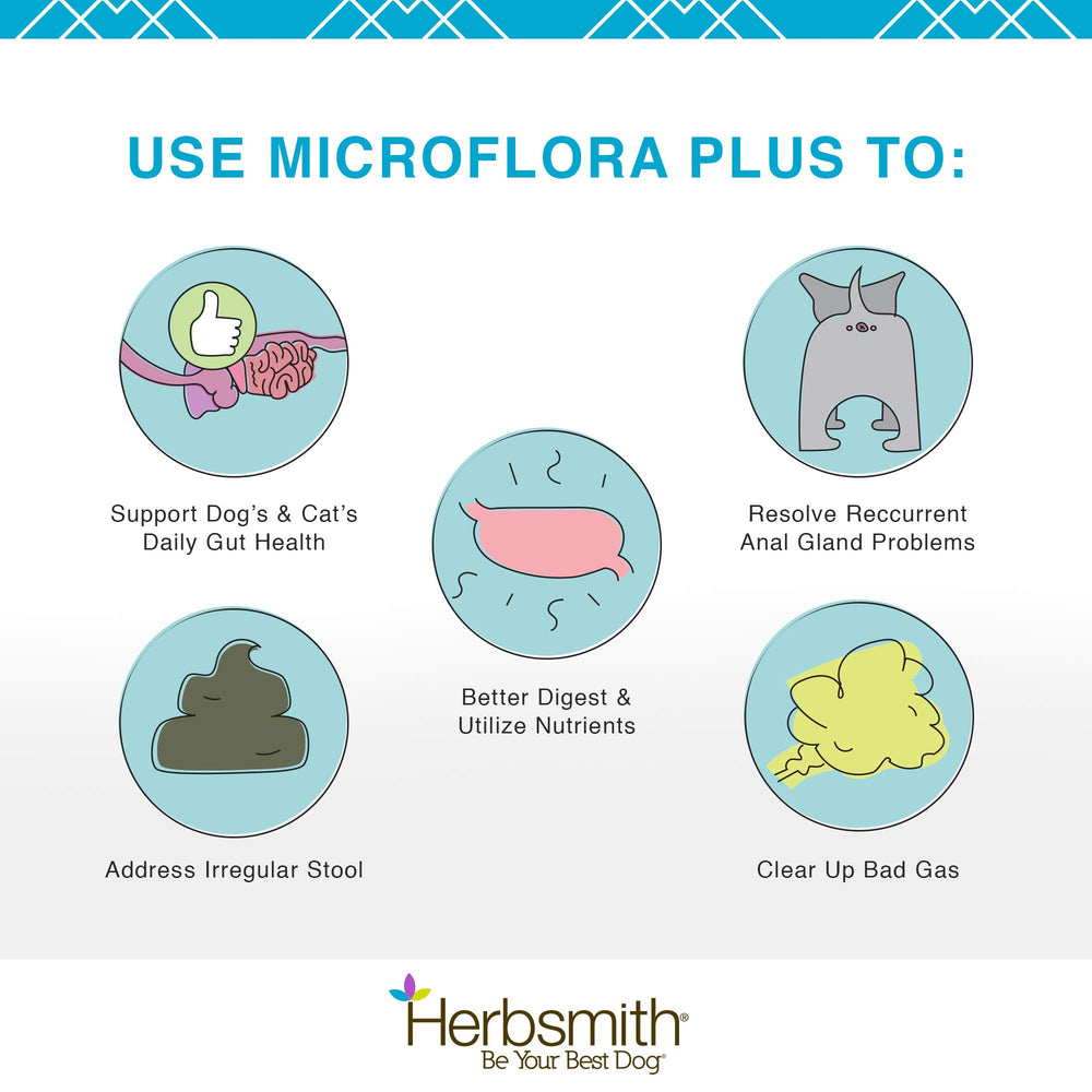 Dog enjoys meals with Microflora Plus capsules mixed in.