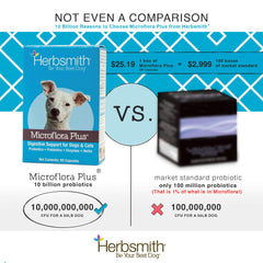 Graphic shows probiotic, prebiotic, and enzyme blend in Microflora Plus.