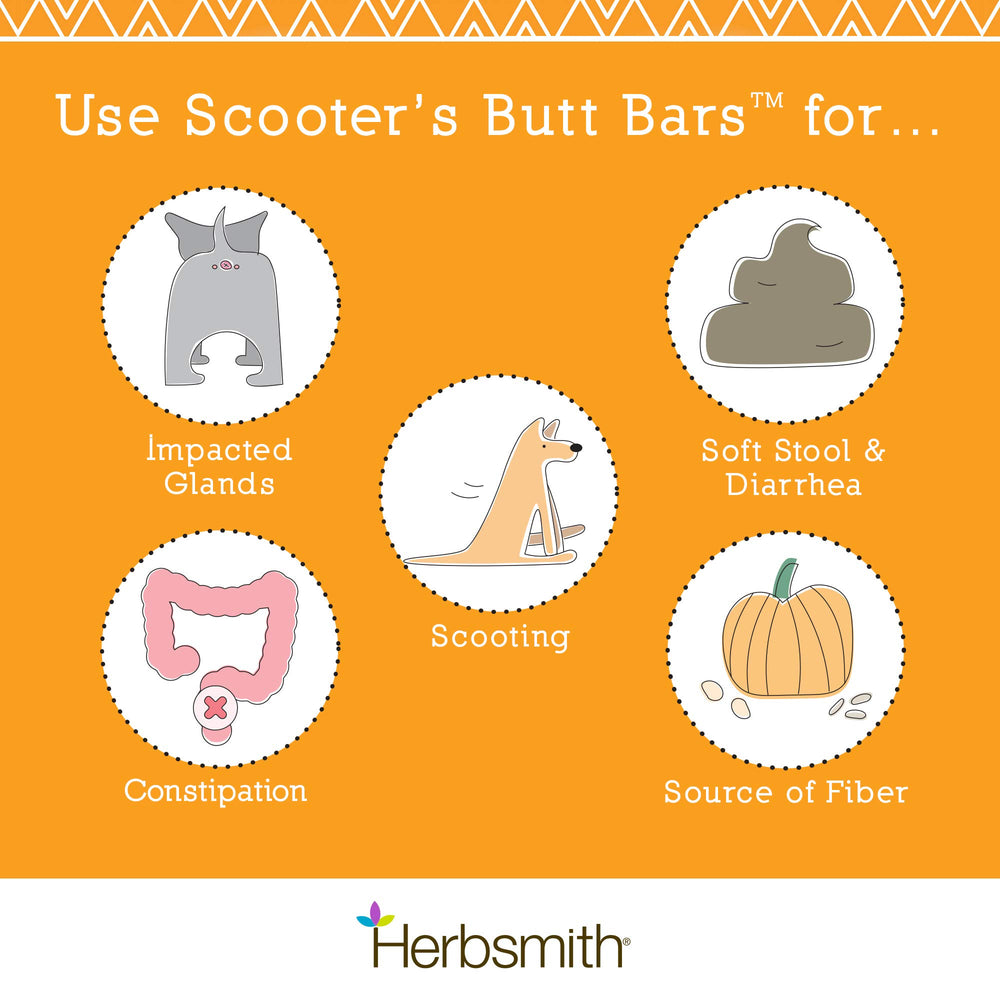 Herbsmith Scooter’s Butt Bars dog eating image, promoting palatability and gut-friendly fiber.