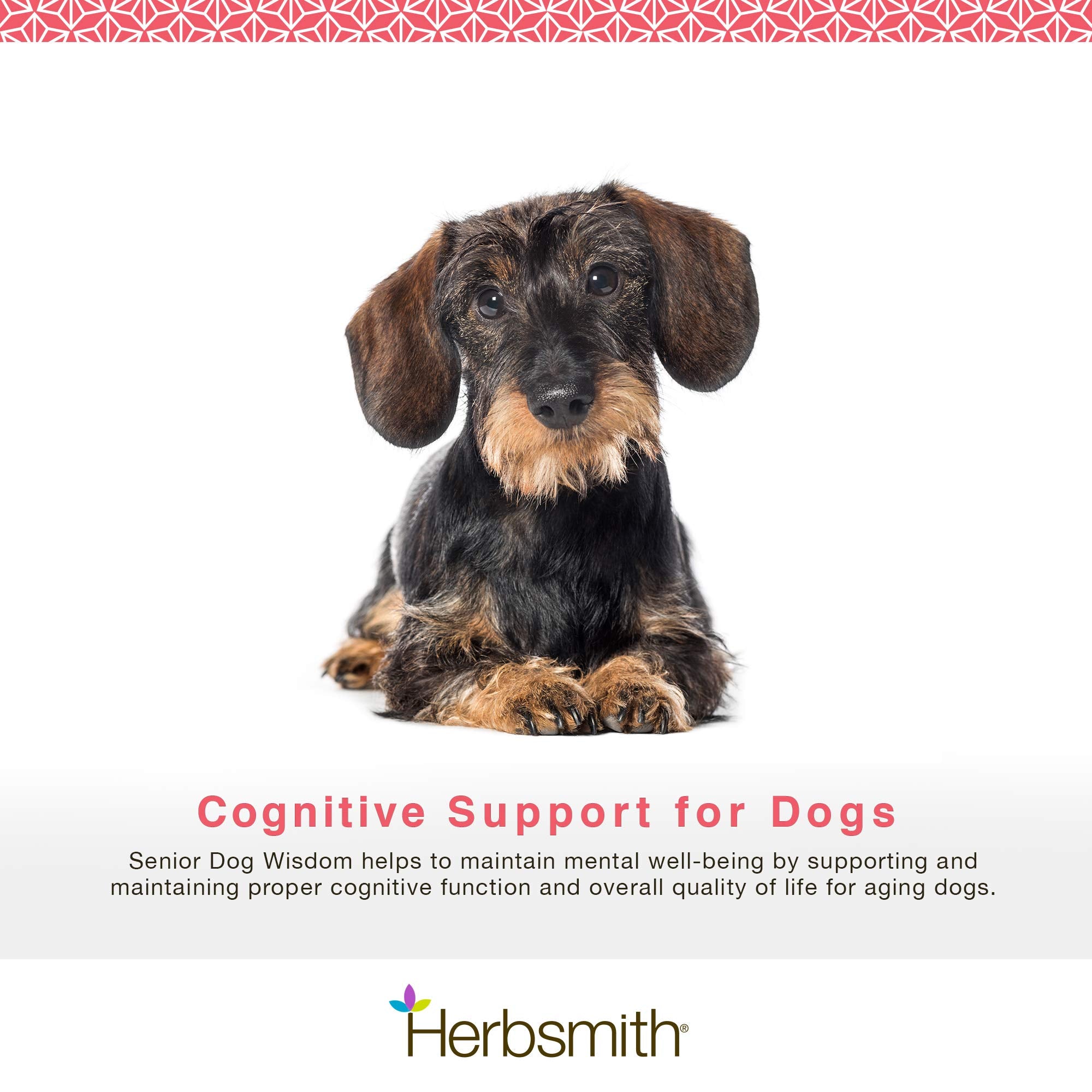 Herbsmith Senior Dog Wisdom chews showing easy texture