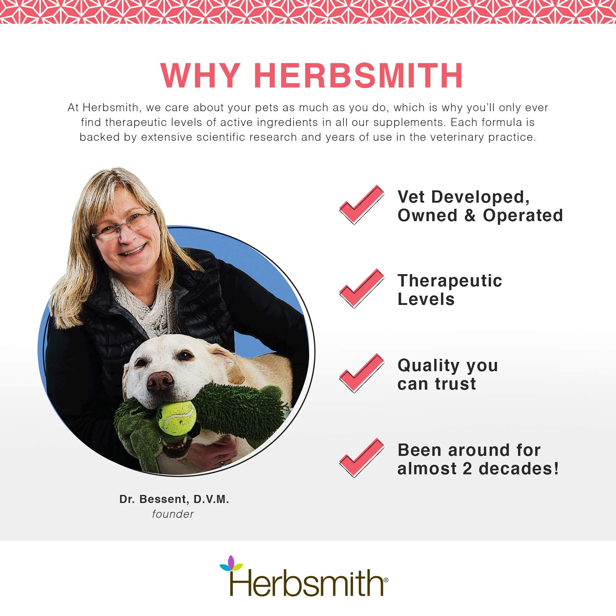 Senior dog lounging calmly at night aided by the supplement