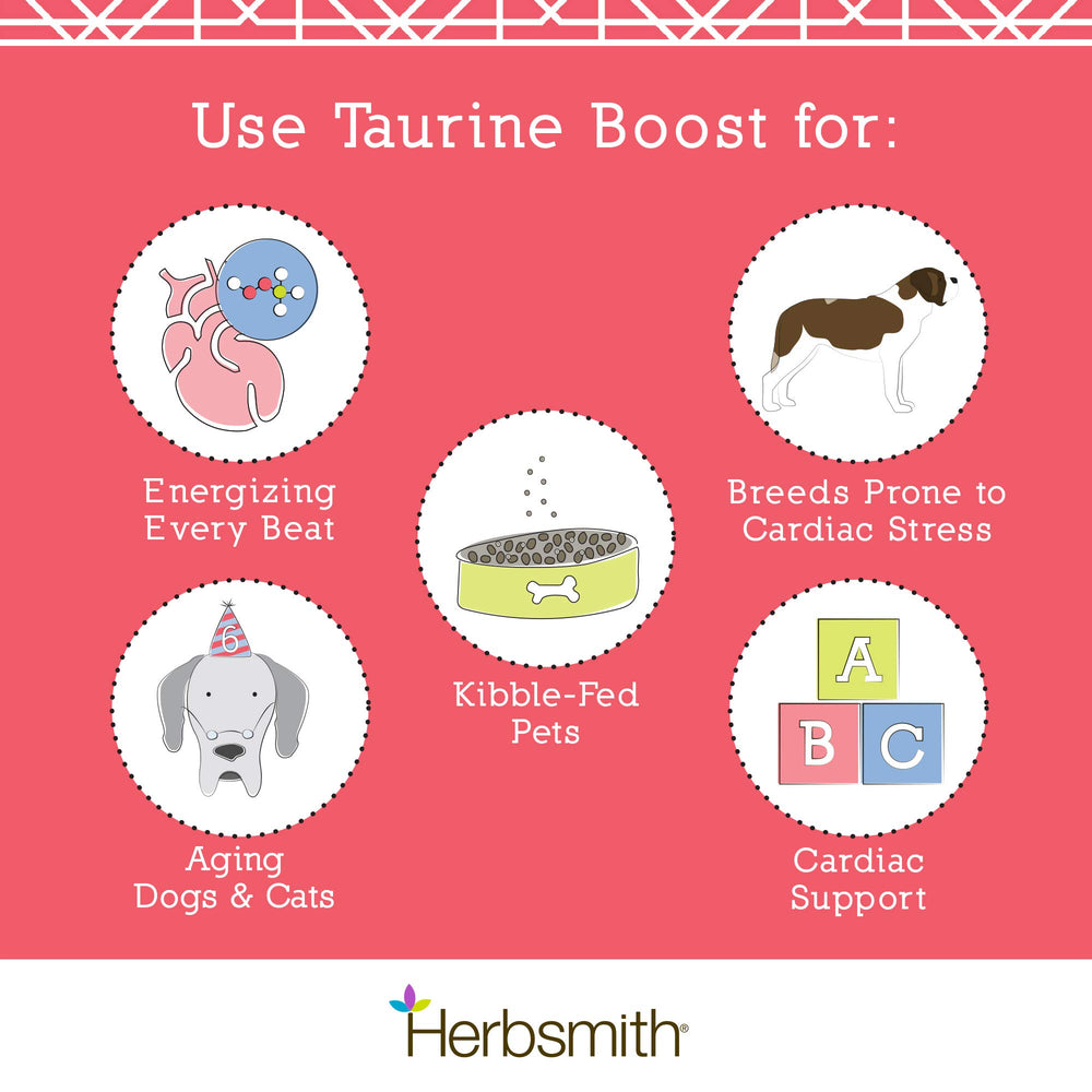 Cat enjoying Taurine Boost on a dish for palatable supplementation.