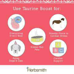 Cat enjoying Taurine Boost on a dish for palatable supplementation.