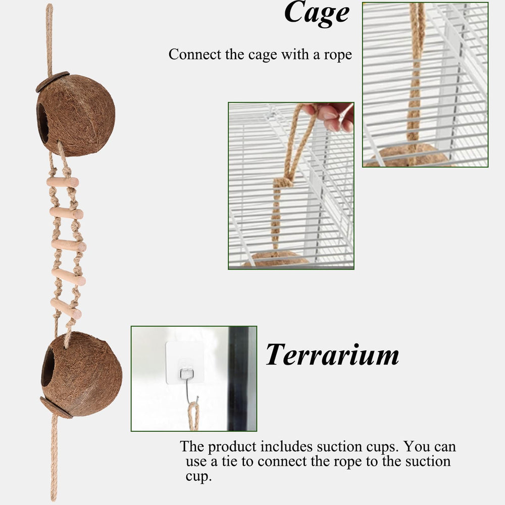 HERCOCCI removable climbing ladder fits diverse terrariums.