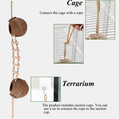 HERCOCCI removable climbing ladder fits diverse terrariums.