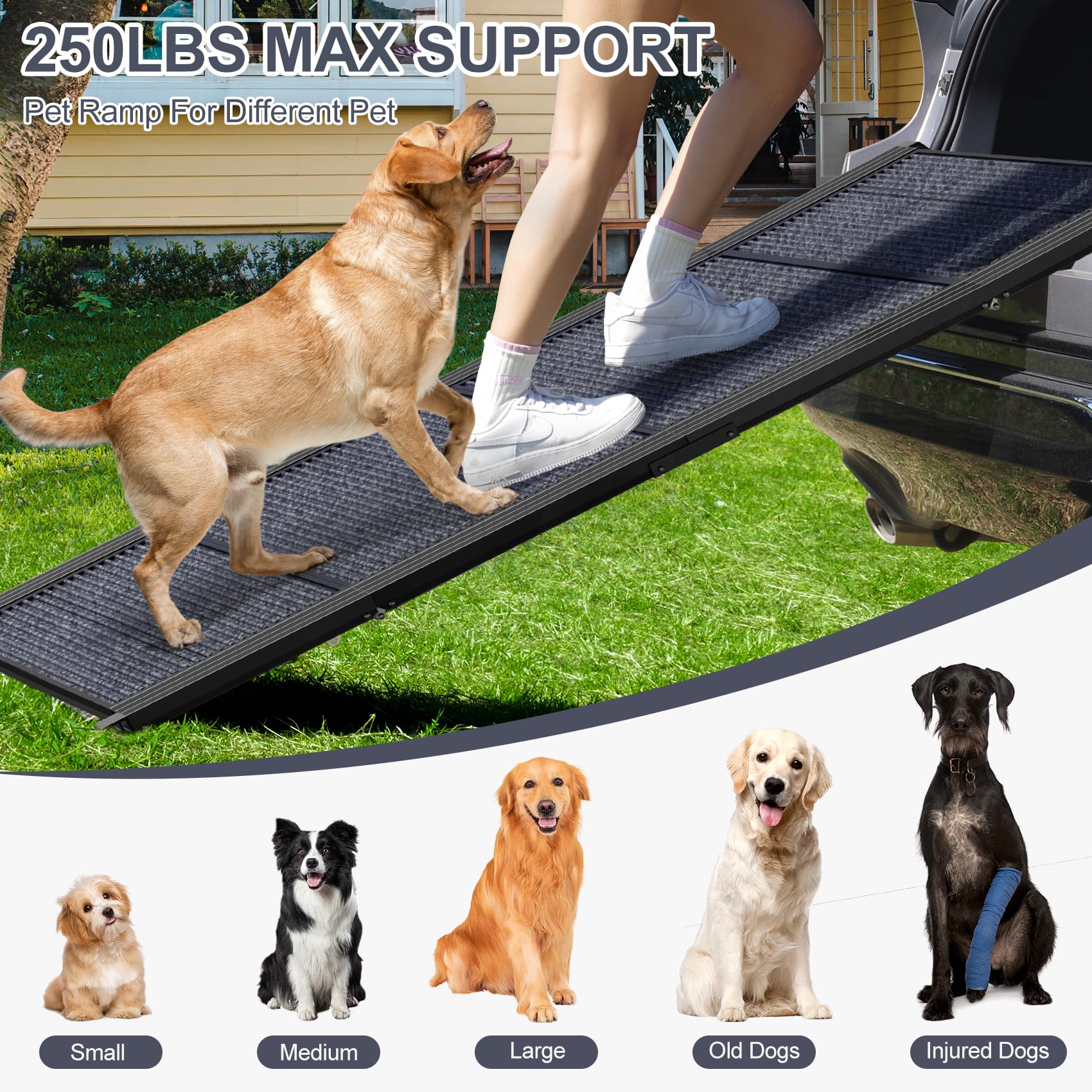 HerCcreta wigge dog ramp 17-inch width provides stable footing for large dogs.