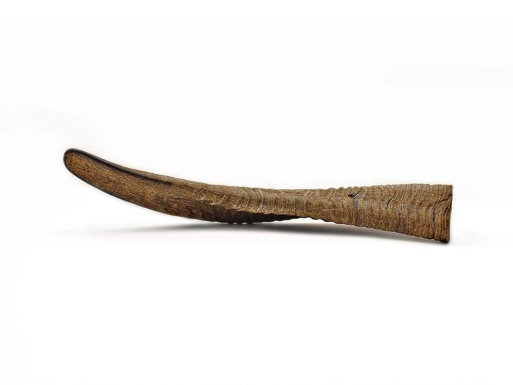 Natural air-dried goat horns from Herders Choice, free-range origin