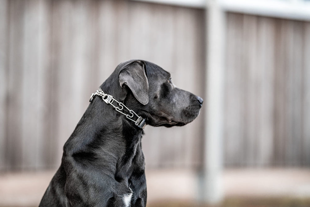 Center plate delivers gentle corrections to guide behavior.