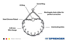 Close-up of Herm Sprenger chrome-plated steel collar showing durability