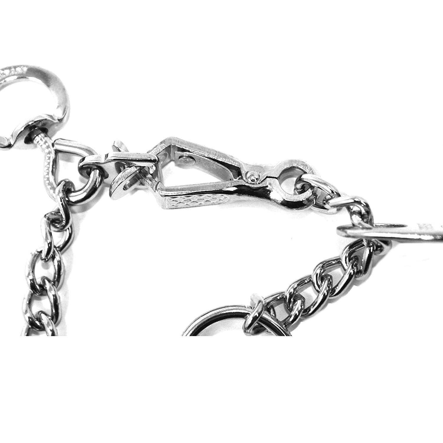 Herm Sprenger chrome prong collar closeup prongs show durable construction.