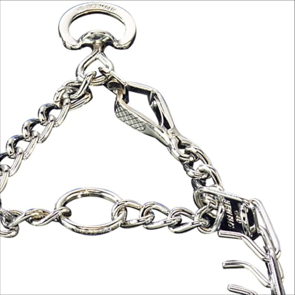 Herm Sprenger chrome prong collar on dog during walks for steady guidance.