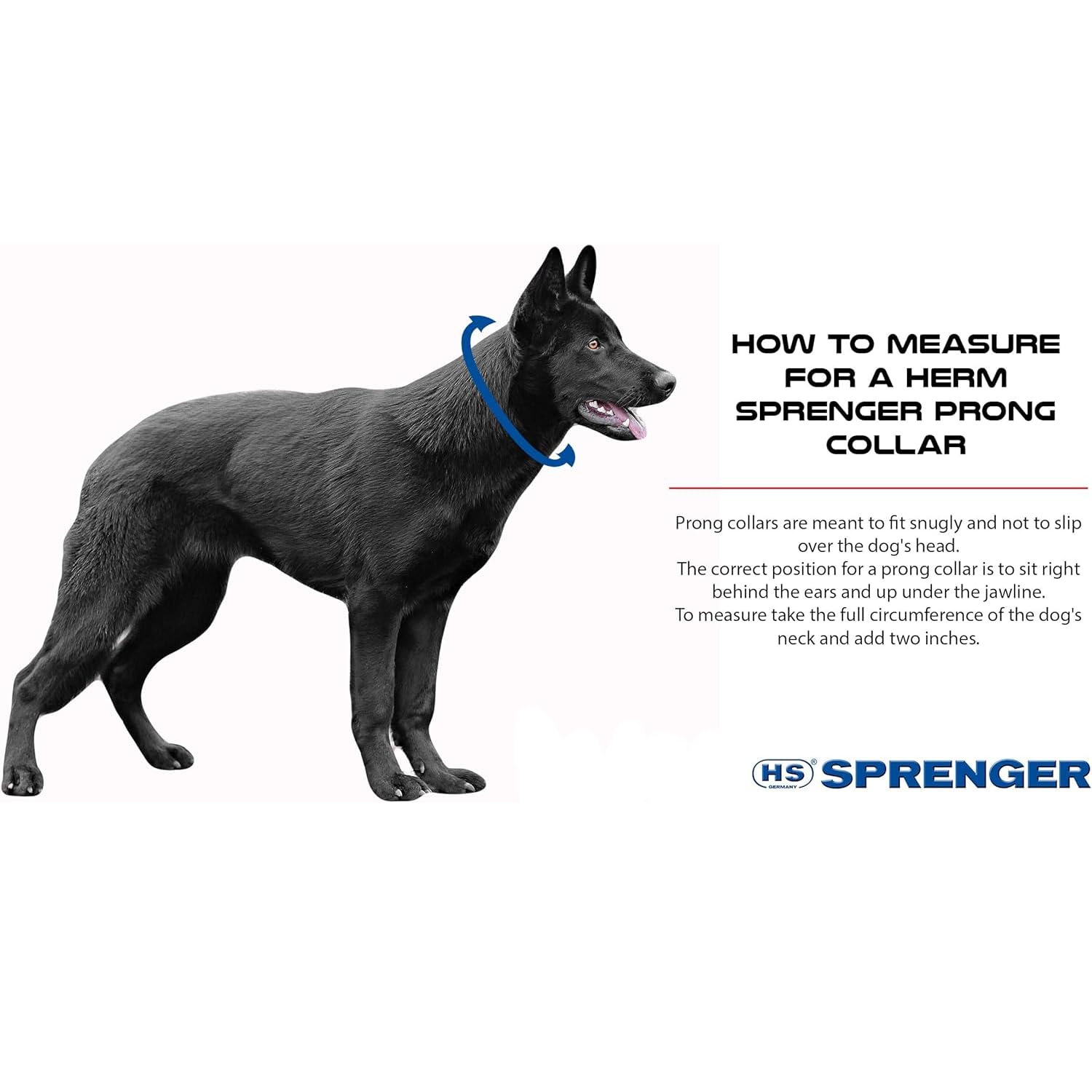Herm Sprenger chrome prong collar smooth edge design reduces friction during walks.