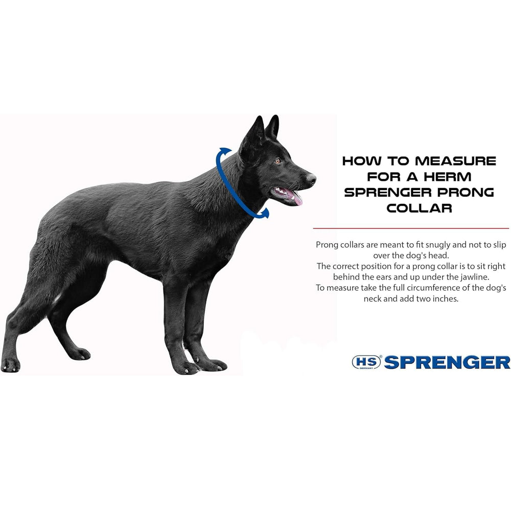Herm Sprenger chrome prong collar smooth edge design reduces friction during walks.
