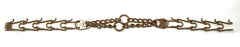 Herm Sprenger Curogan collar on dog, nickel-free option for sensitive pets