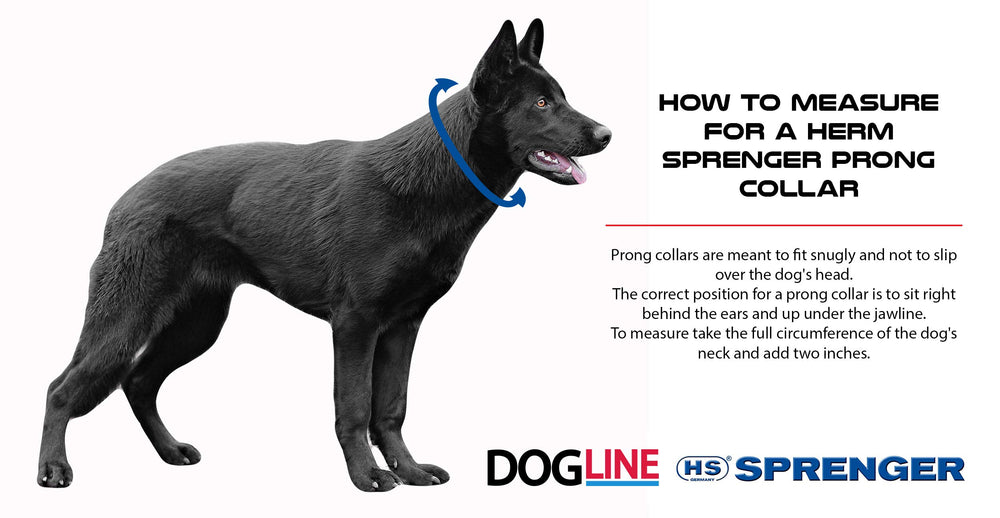 Herm Sprenger German-made nickel-free prong collar reduces irritation