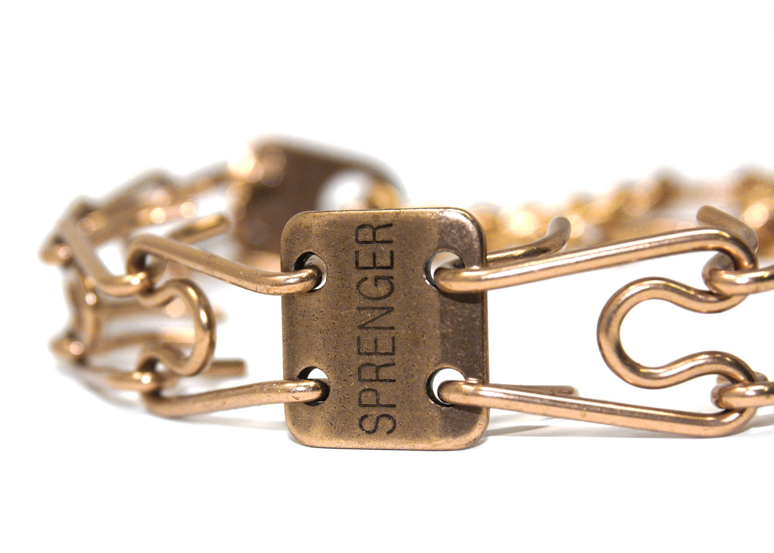 Herm Sprenger Curogan prong collar in action on a dog, secure fit.