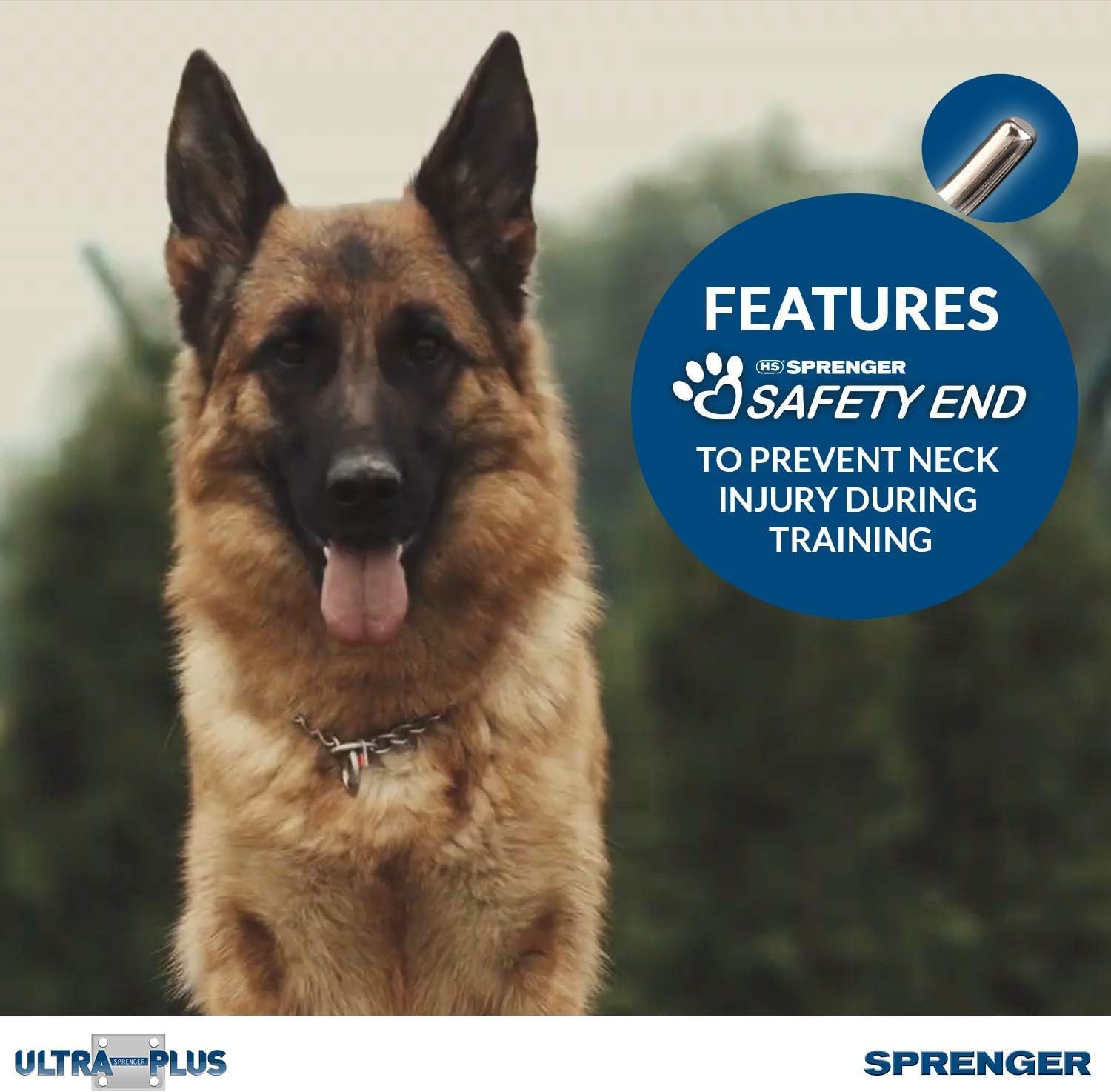 Herm Sprenger D-ring leash attachment provides reliable control