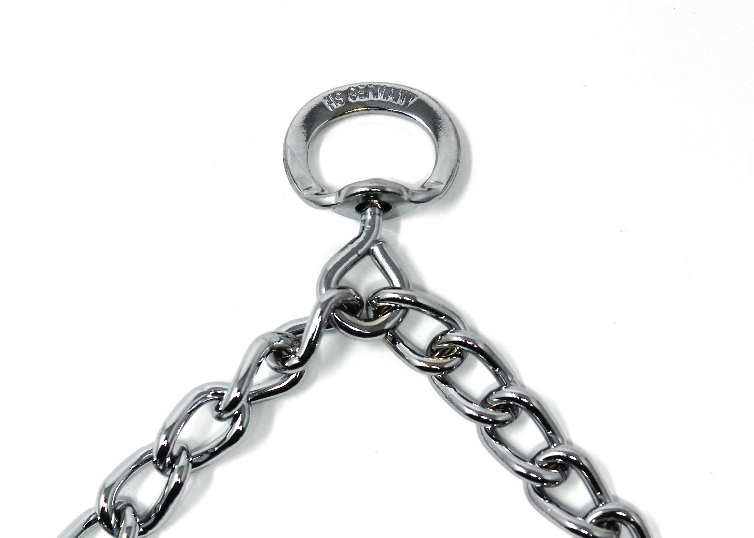 Dog wearing Herm Sprenger collar during walk with secure fit