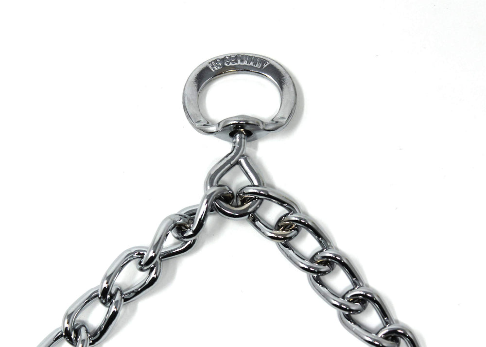 Dog wearing Herm Sprenger collar during walk with secure fit