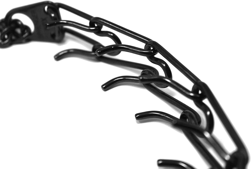Dog wearing Herm Sprenger collar illustrates no-pull training setup.