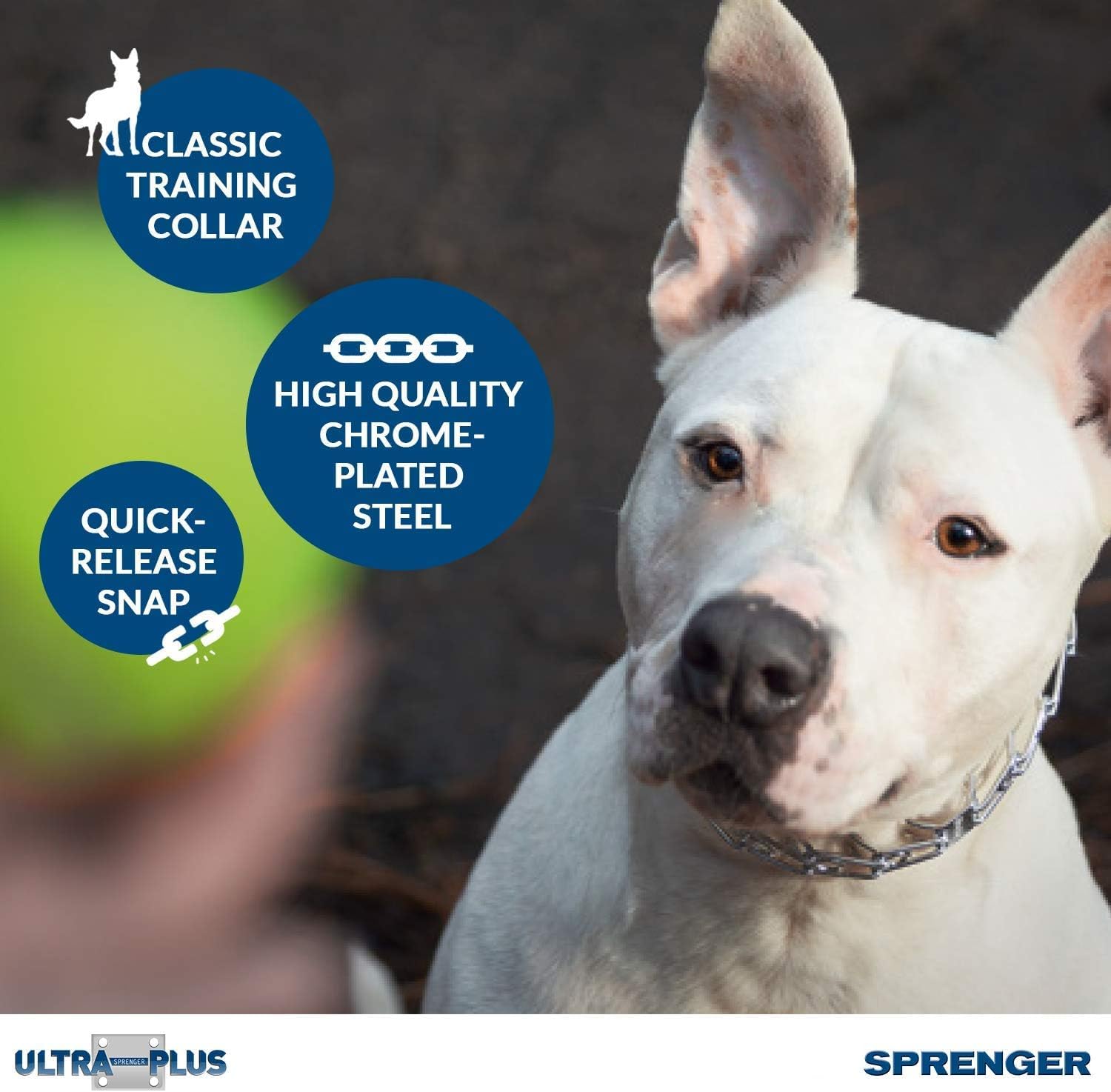 Herm Sprenger prong collar 3.0 mm wire for precise guidance
