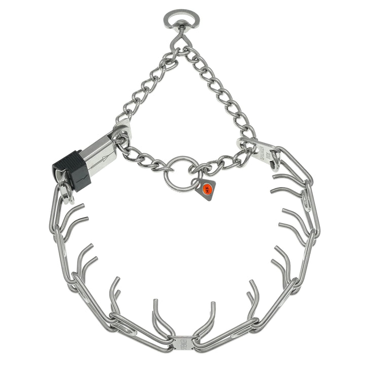Close-up of 3.2 mm prongs on Herm Sprenger collar for guided walks