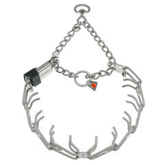 Close-up of 3.2 mm prongs on Herm Sprenger collar for guided walks