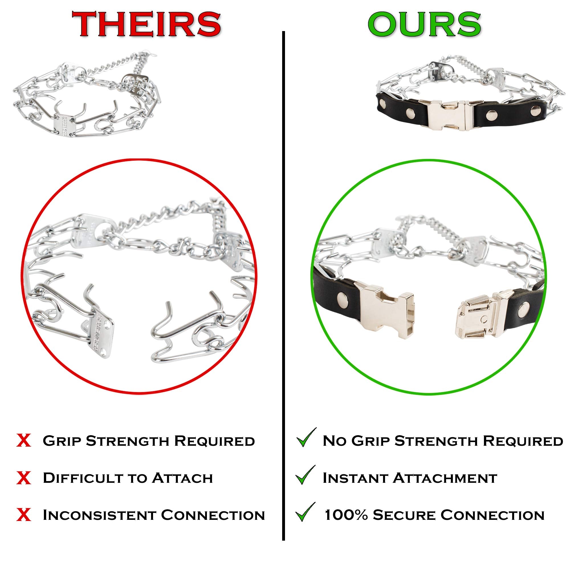 Herm Sprenger prong collar adjustable length worn by small to medium dog.