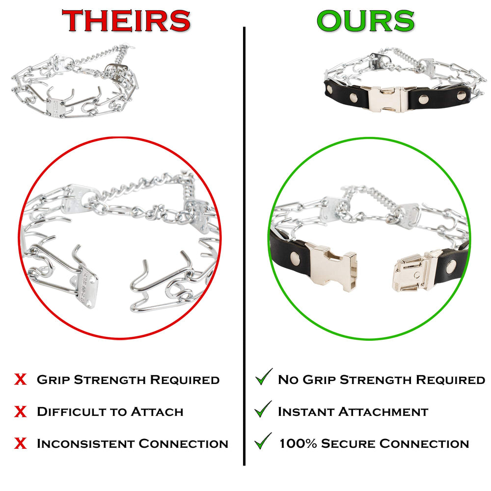 Herm Sprenger prong collar adjustable length worn by small to medium dog.