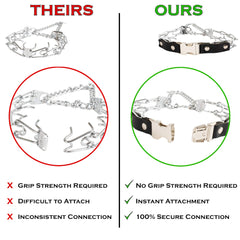 Herm Sprenger prong collar adjustable length worn by small to medium dog.