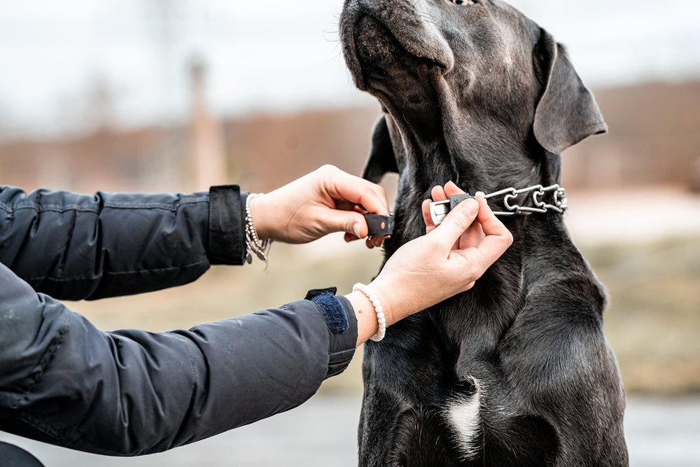 Herm Sprenger adjustable links let you tailor the fit for comfortable control.