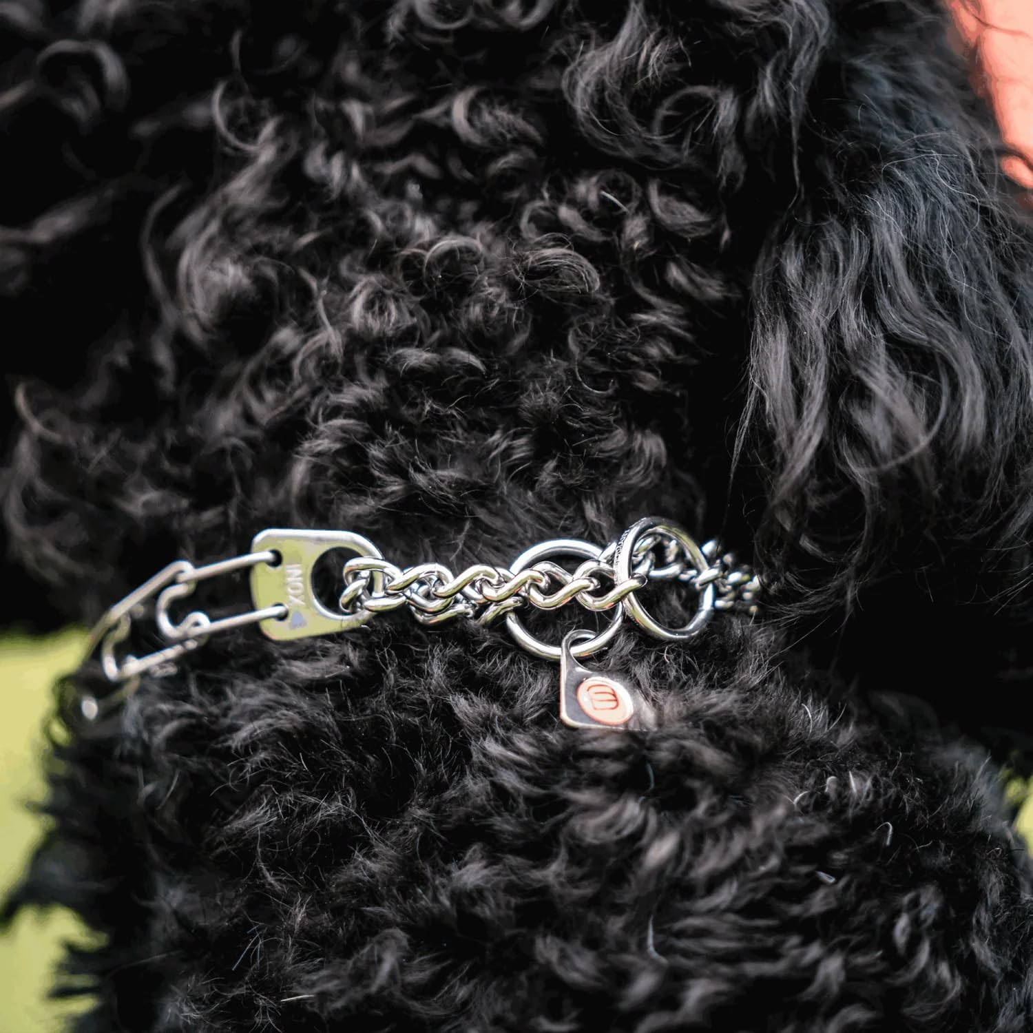 Herm Sprenger Micro Prong Collar removable-links feature enables quick size adjustments.