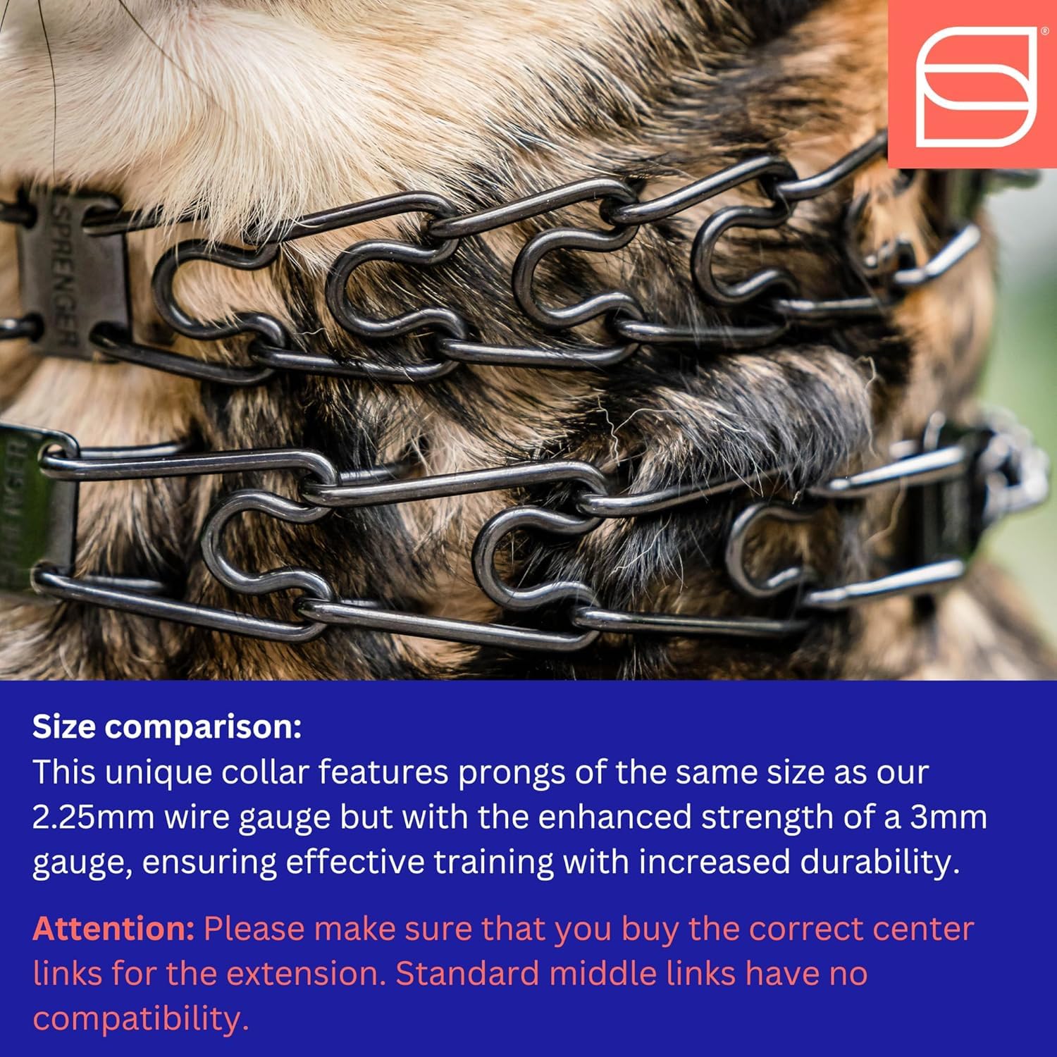Herm Sprenger collar in use during training, demonstrating controlled leverage.