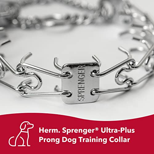 User-friendly dog training collar ready for everyday walks and corrections.