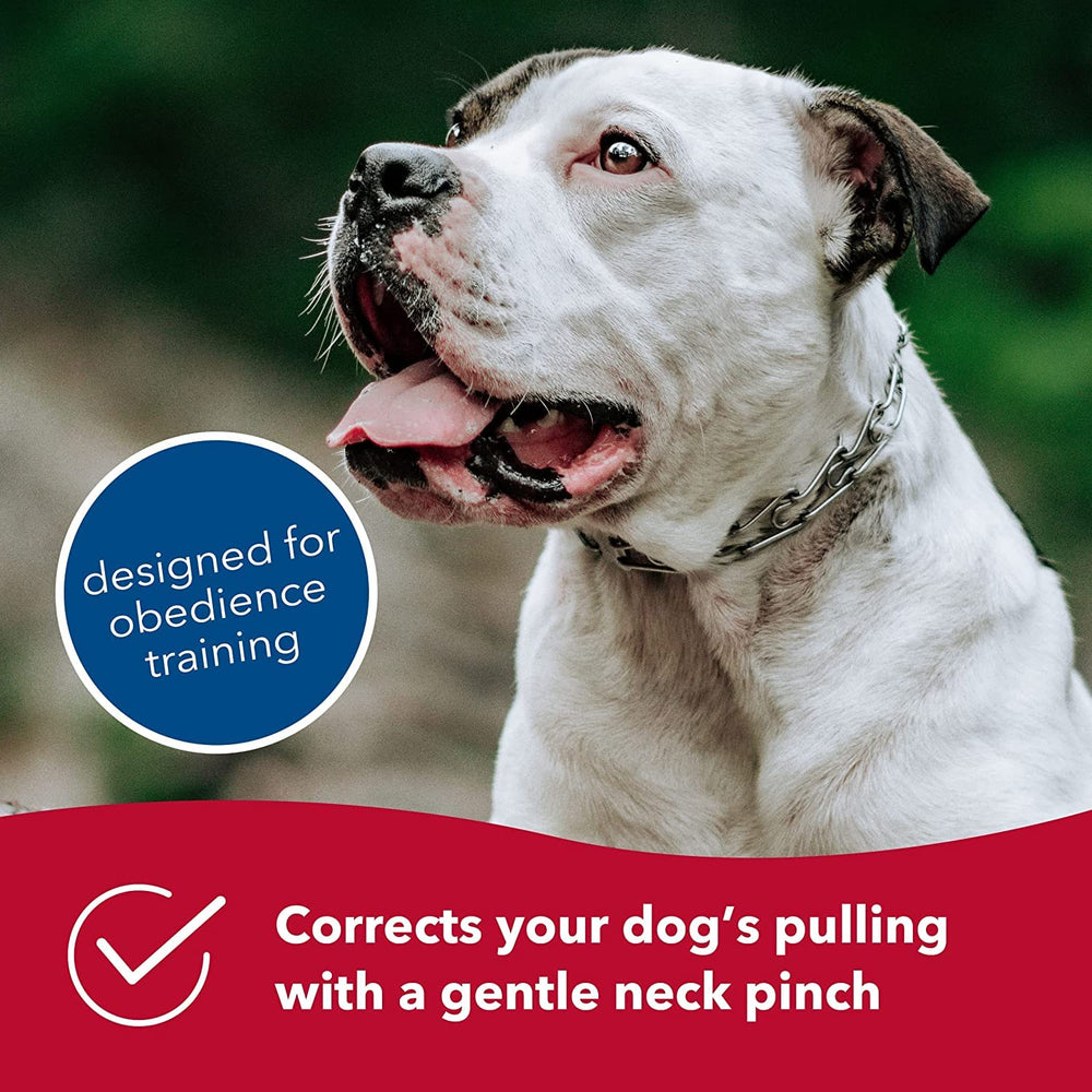 Adjustable links on Herm Sprenger Ultra-Plus collar for precise sizing