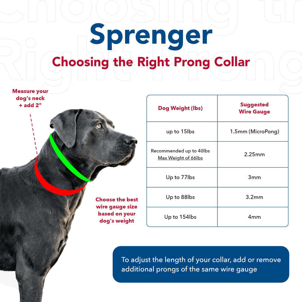 Herm Sprenger Ultra-Plus prong collar chrome-plated steel for durable daily use.
