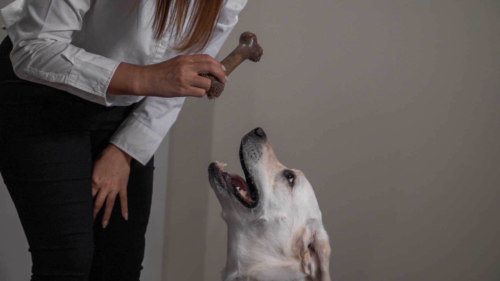 Hero Bonetics femur bone for large dogs up to 75 lbs