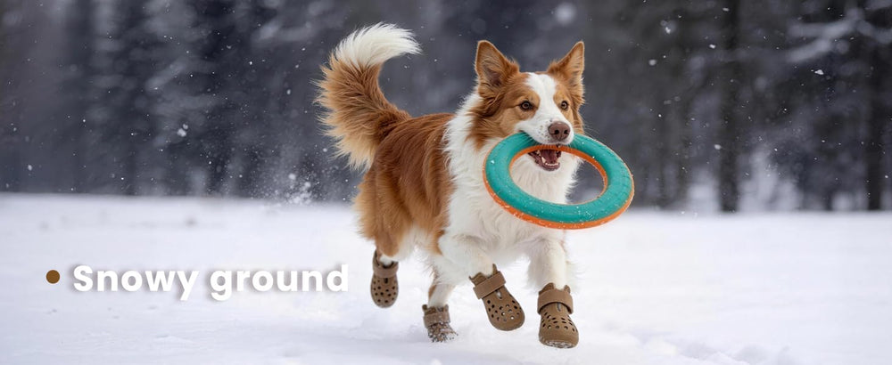 HERTIENDO dog shoes in action protect paws from hot pavement and rough terrain.