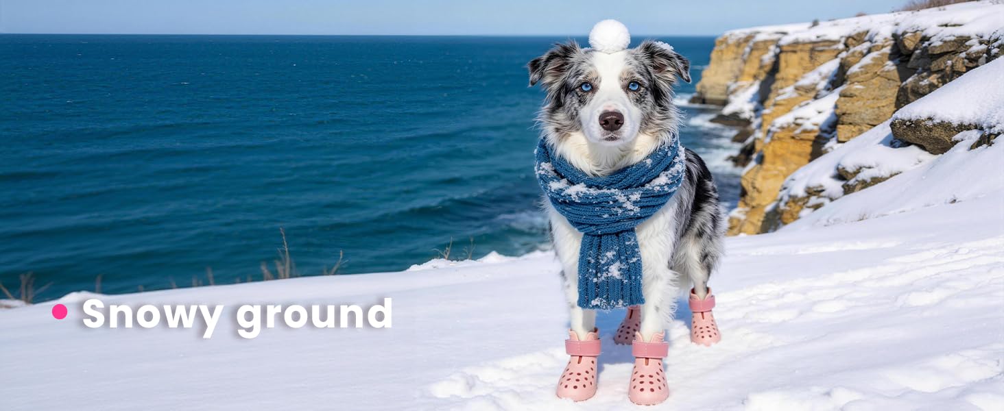 HERTIENDO footwear for dogs keeps paws protected across weather and terrain.