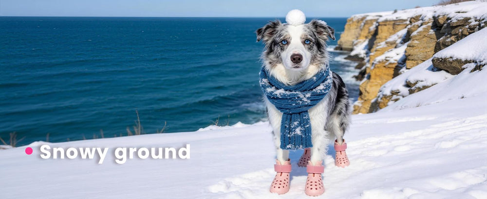 HERTIENDO footwear for dogs keeps paws protected across weather and terrain.