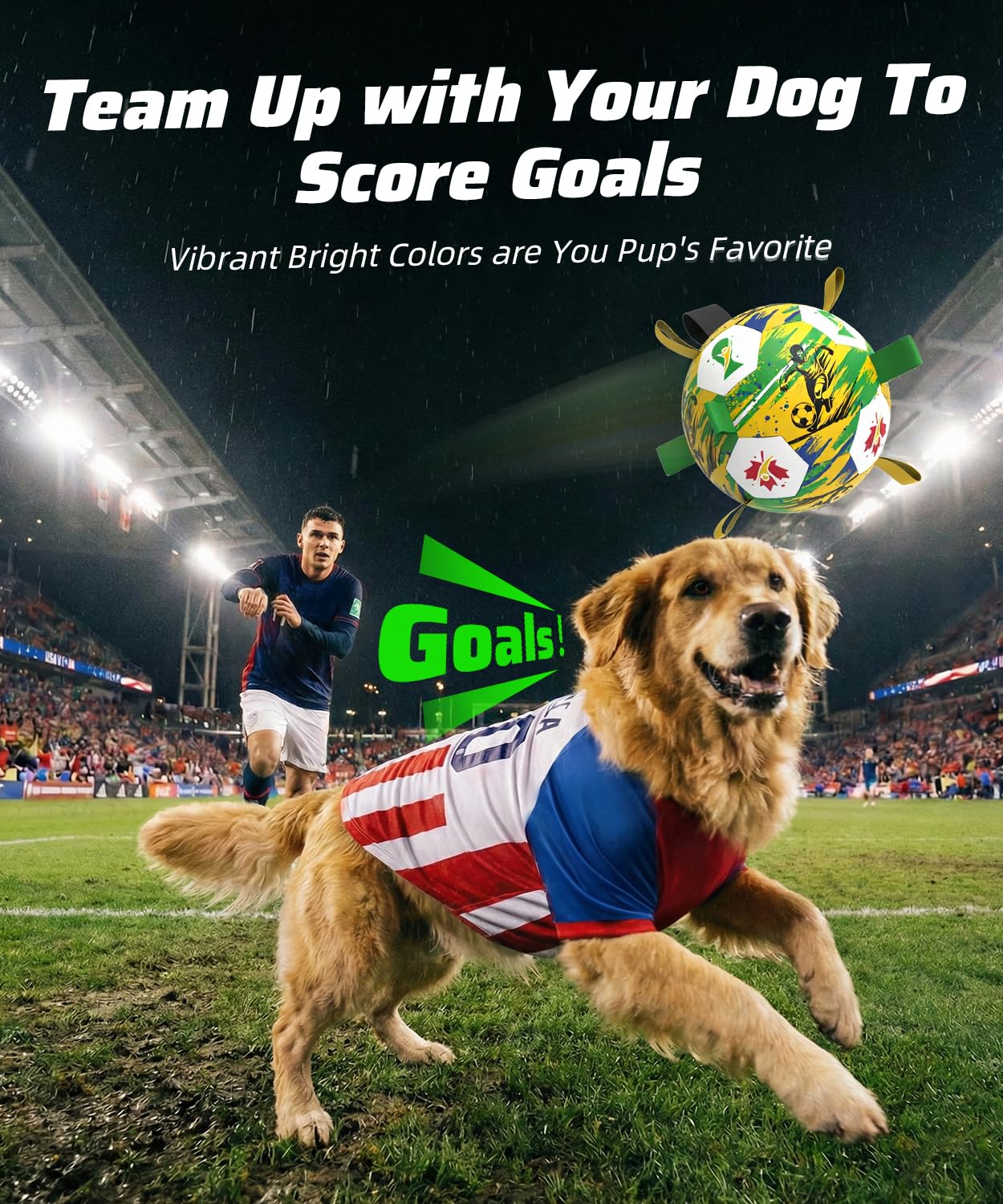 HETOO 8-inch size fits medium to large dogs like Labradors.