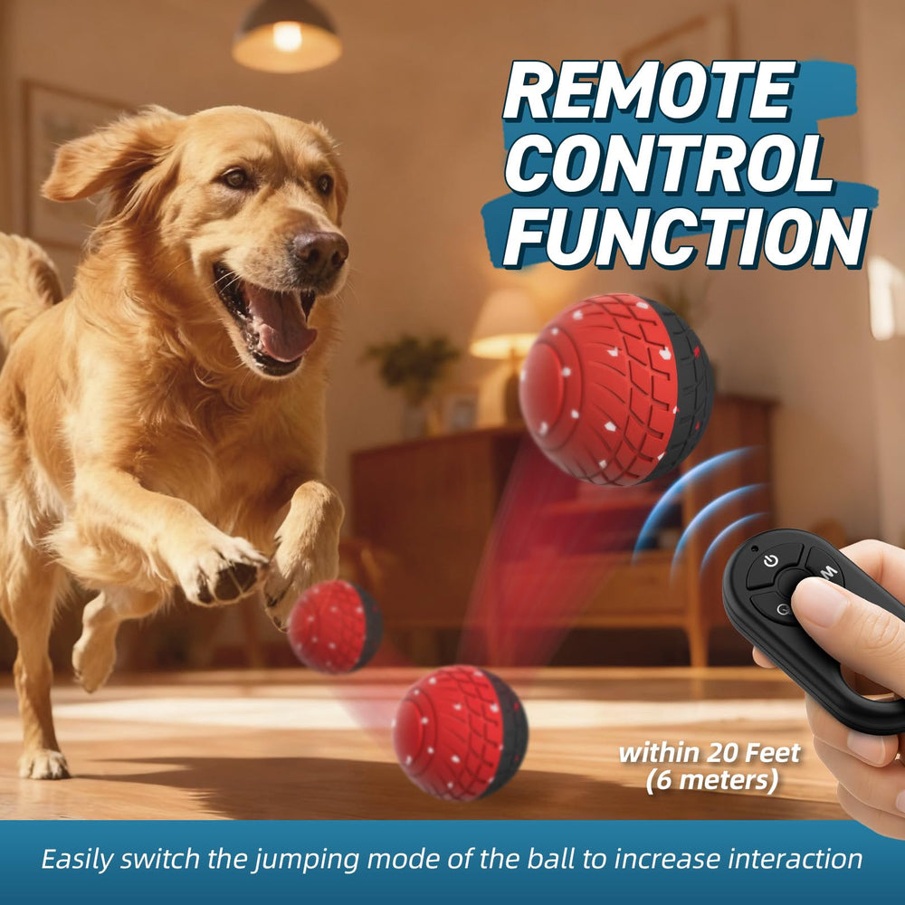 HETOO dog toy rolling and bouncing to entertain active dogs.