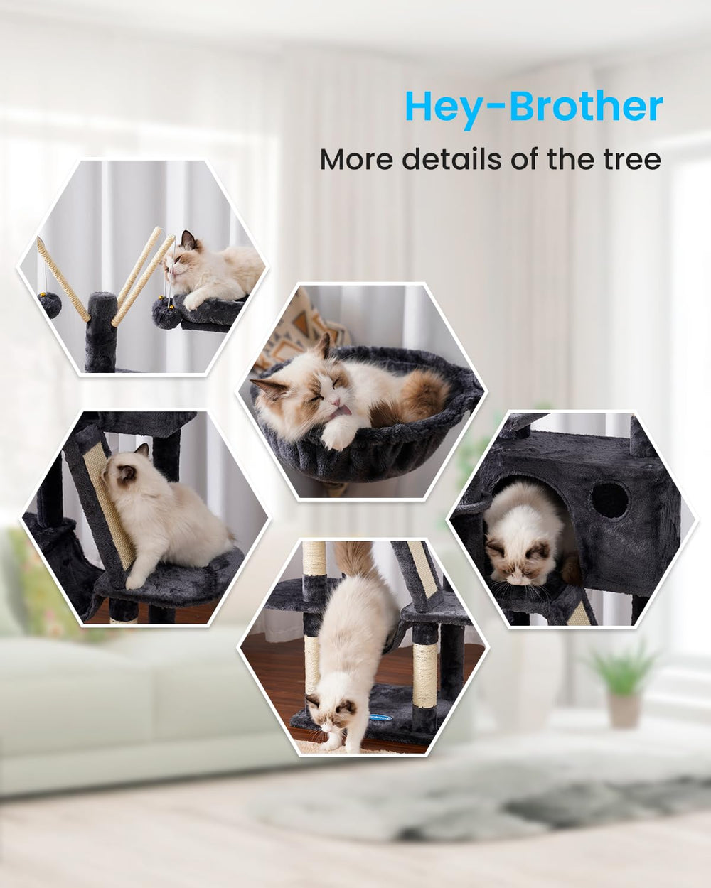 Hey-brother cozy condo gives cats a private retreat.