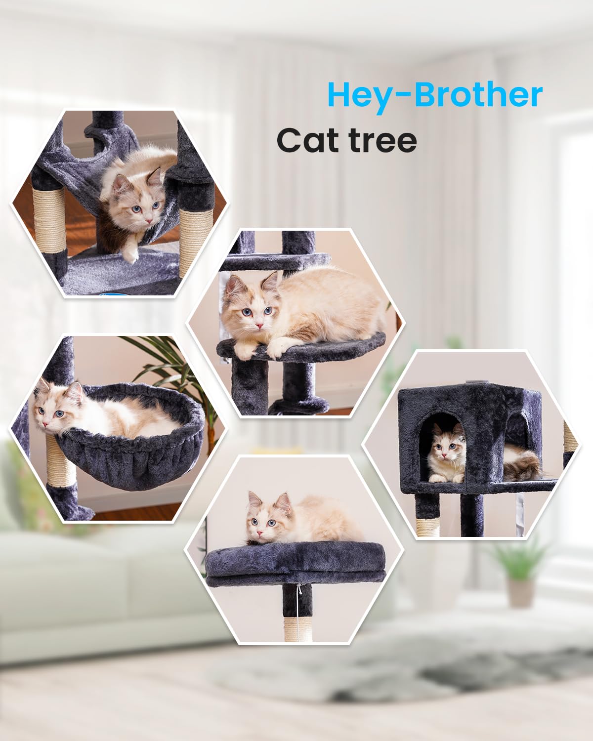 Hey-brother cat tree top perch gives cats a high vantage for watching rooms.
