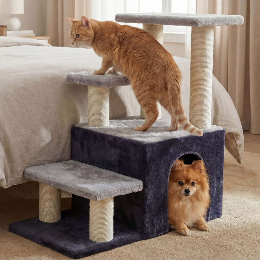 Heybly 4-tier cat stairs with condo aids climbing to high surfaces.