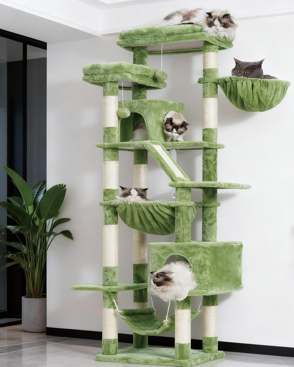 Heybly cat tree with two perches highlights elevated resting spots