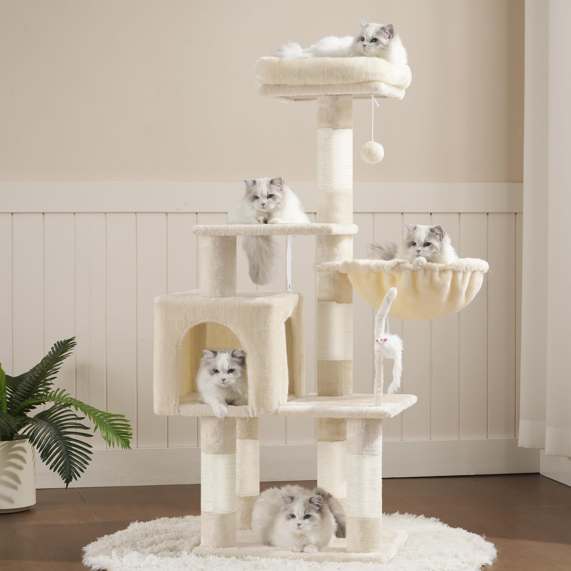 Heybly sturdy base ensures stable climbing experiences for curious kittens.