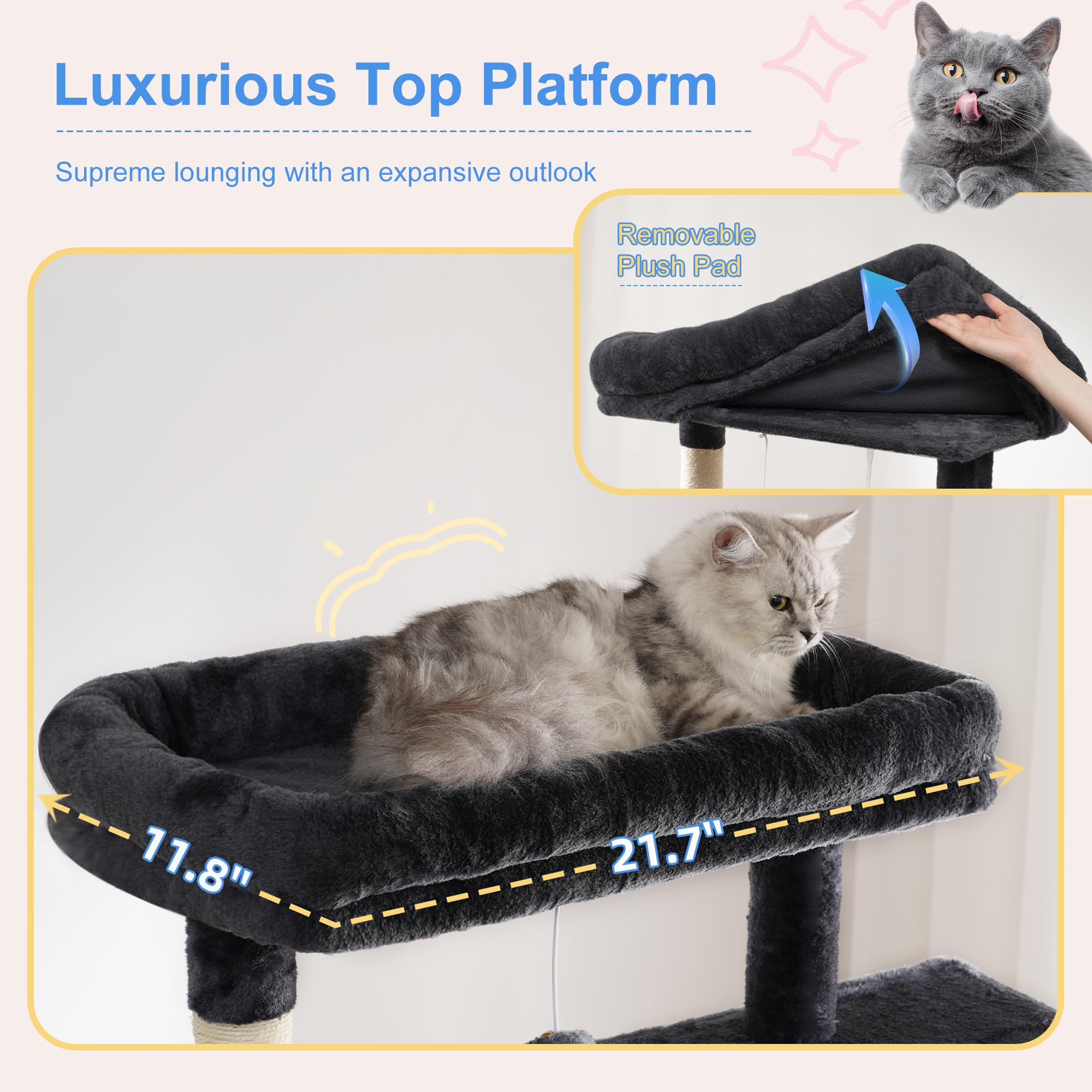 Heybly cat condos offer private nooks for naps and retreat.