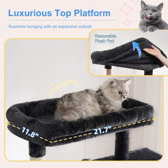 Heybly cat condos offer private nooks for naps and retreat.