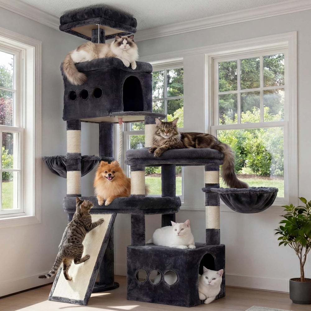 Heybly cat tree in smoky gray frame resting on sturdy base for secure lounging